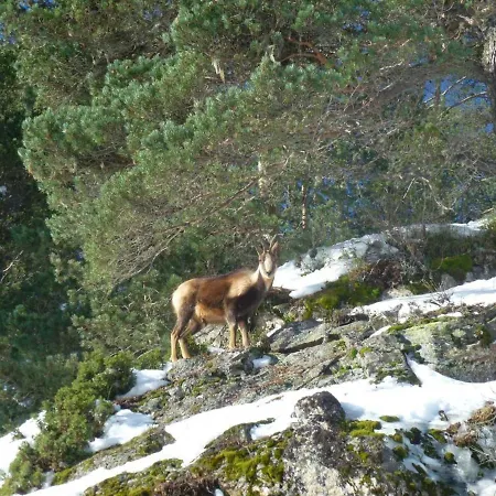 T2 4-6 Pers A Cauterets, Proche Telecabine - Fr-1-234-231 דירה